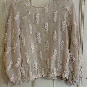 Zara Semi-Sheer Blouse